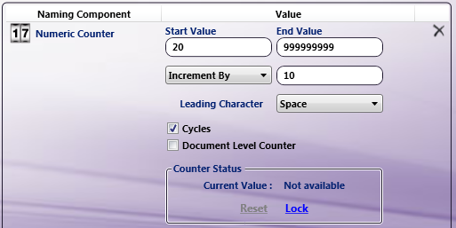 Numeric Counter example
