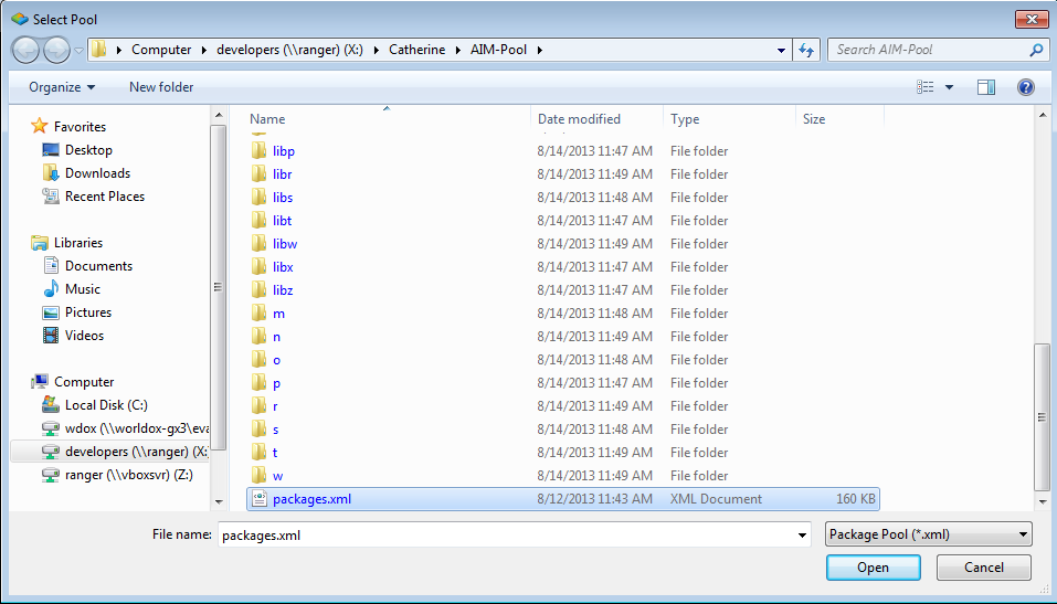 Local Repository Path